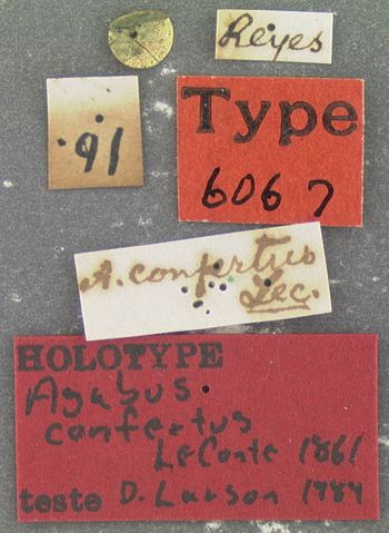 Media type: image;   Entomology 6067 Aspect: labels